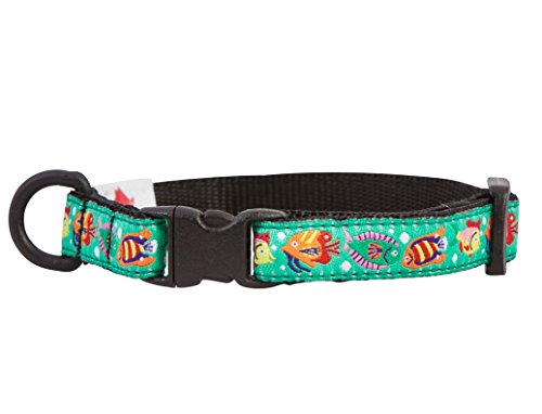 Algopix Similar Product 13 - RC Pets Kitty Breakaway Cat Collar