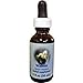Algopix Similar Product 10 - Walnut Dropper 025 oz by Flower