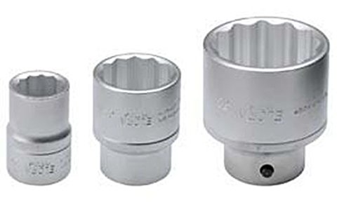 Algopix Similar Product 13 - Elora 770210232000770Sw 12Ww 34