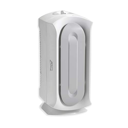 Algopix Similar Product 17 - Hamilton Beach TrueAir Air Purifier