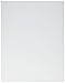 Algopix Similar Product 8 - Pres-On Mounting Board 11"X14"
