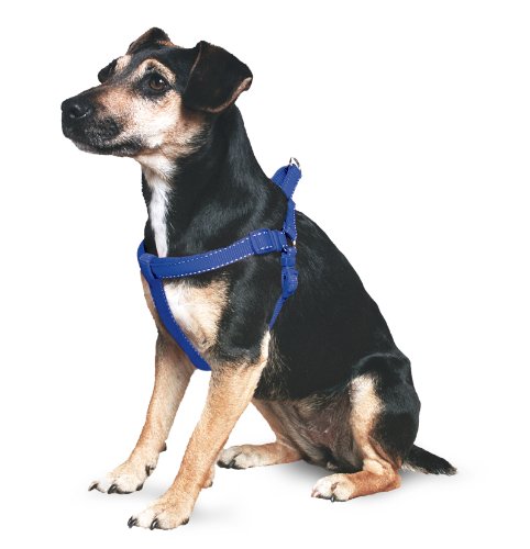 Algopix Similar Product 1 - Ancol Padded Harness Blue, Size Small