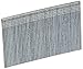 Algopix Similar Product 16 - Bosch 2608200516 Finish Nails 40mm