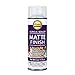 Algopix Similar Product 14 - Aleenes Spray Finish 6oz Acrylic