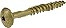 Algopix Similar Product 7 - Power Pro 47874 Lag Screws 516 x