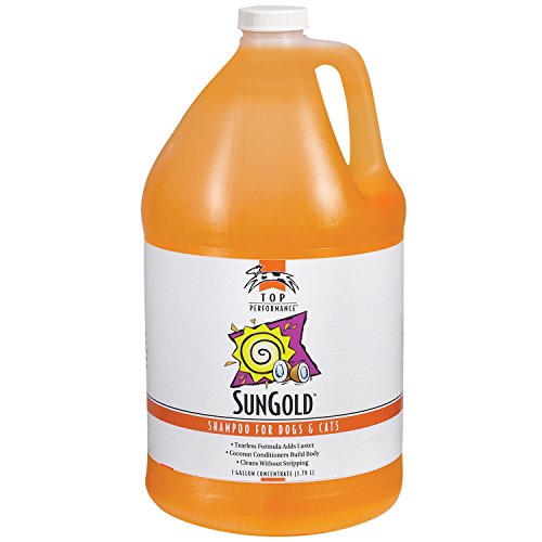 Algopix Similar Product 14 - Top Performance SunGold Puppies and