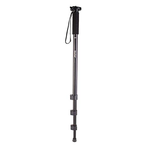 Algopix Similar Product 19 - Vivitar VT67 67Inch Monopod for
