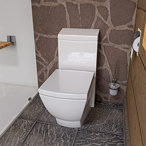 Algopix Similar Product 8 - EAGO TB336 High Efficiency EcoFriendly