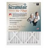 Algopix Similar Product 13 - 17x22x1 165 x 215 Accumulair