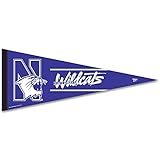 Algopix Similar Product 19 - WinCraft NCAA Northwestern Premium
