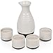 Algopix Similar Product 15 - True Fervor 5pcs Ceramic Sake Set 4