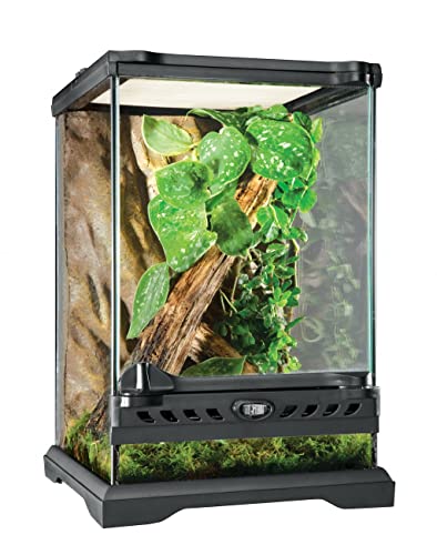 Algopix Similar Product 9 - Exo Terra Glass Natural Terrarium Kit