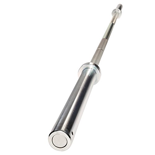 Algopix Similar Product 17 - BodySolid OB86PBS OLY bar 7 Silver