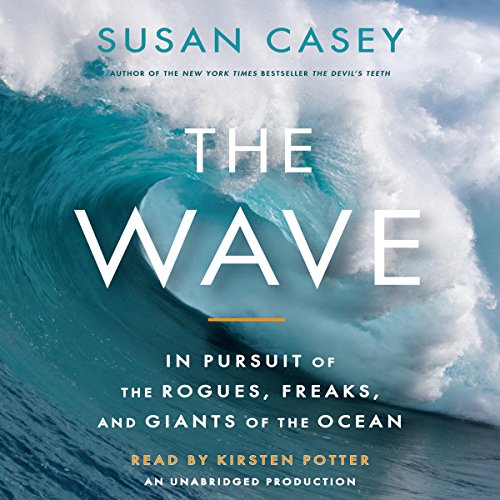 Algopix Similar Product 2 - The Wave In Pursuit of the Rogues