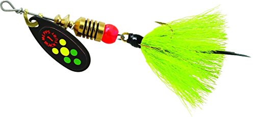 Algopix Similar Product 15 - Black Fury  drsd trbl hot fire Tiger