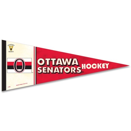 Algopix Similar Product 4 - WinCraft NHL 63300081 Ottawa Senators