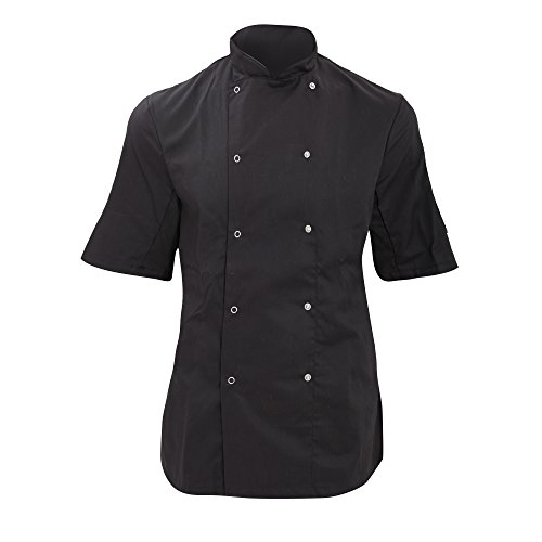 Algopix Similar Product 8 - Dennys WomensLadies Economy Short