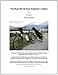 Algopix Similar Product 18 - The Real World User Guide for ebikes 
