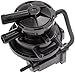 Algopix Similar Product 20 - Dorman 310203 Evaporative Emissions