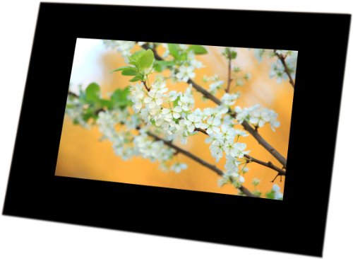 Algopix Similar Product 19 - FOTO Frame 7POLLICI RIS.480X234