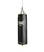 Algopix Similar Product 5 - Everlast 100lb PowerCore Heavy Bag