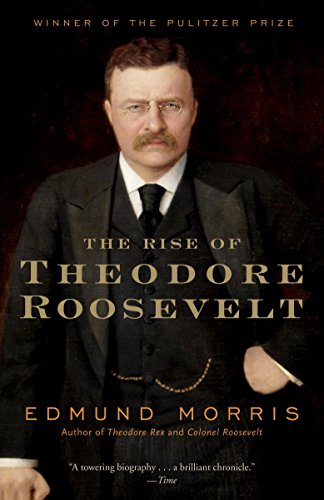 Algopix Similar Product 17 - The Rise of Theodore Roosevelt