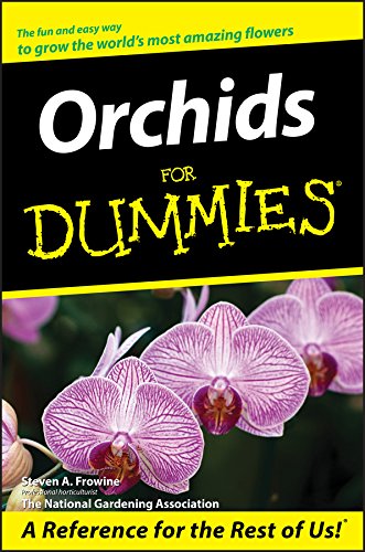 Algopix Similar Product 5 - Orchids For Dummies
