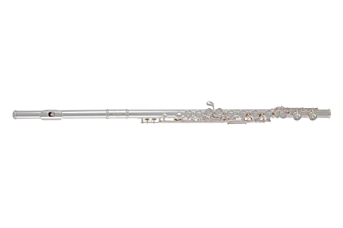 Algopix Similar Product 6 - Roy Benson Flute FL602E incl