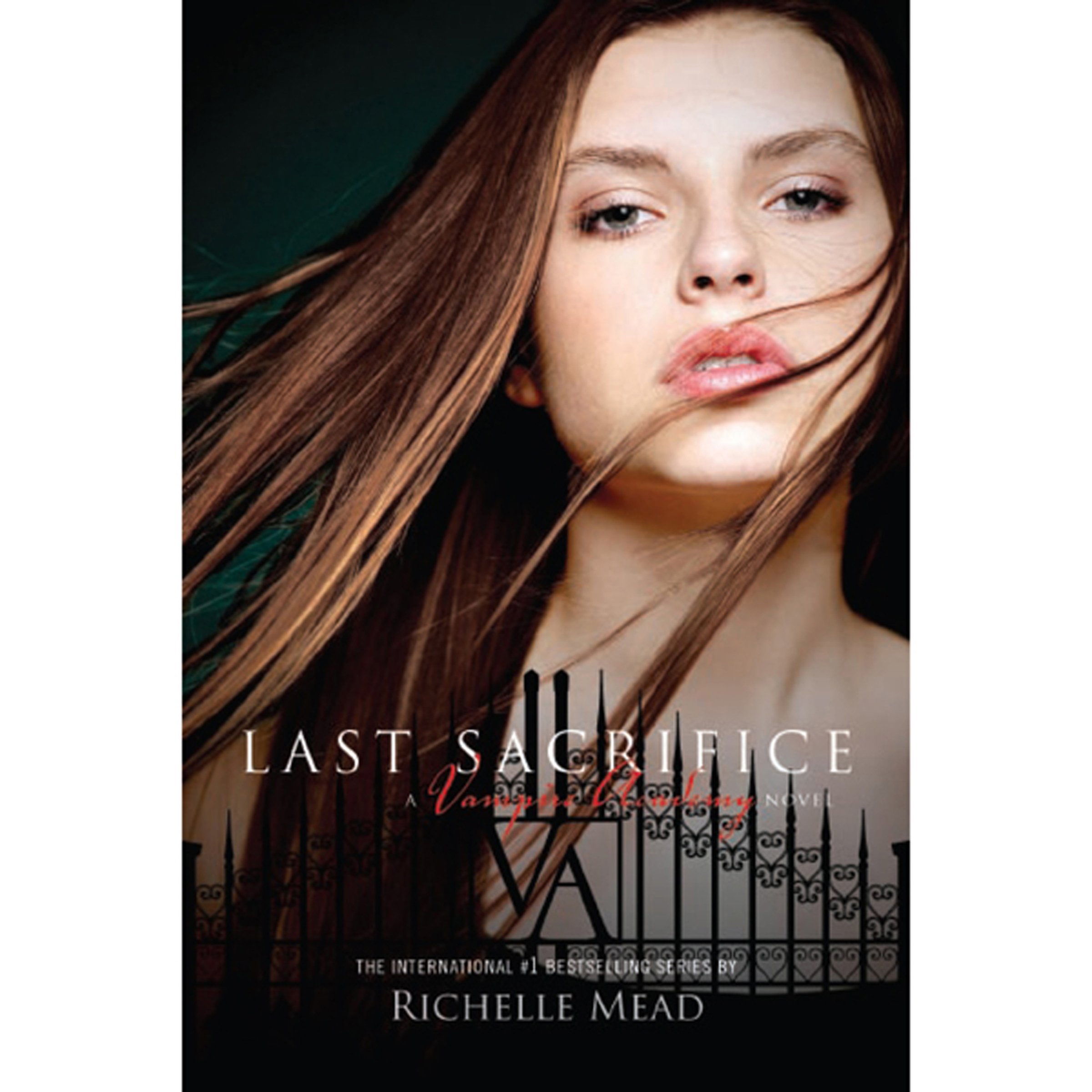 Algopix Similar Product 12 - Last Sacrifice: A Vampire Academy Novel