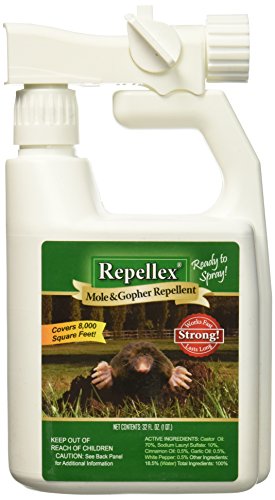 Algopix Similar Product 19 - Repellex 10505 1Quart RTS Mole Vole