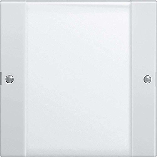Algopix Similar Product 18 - Gira 213103 Wippenset 1fach BSF System