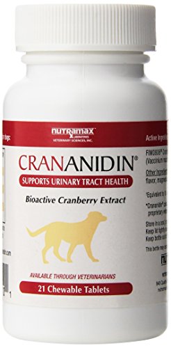 Algopix Similar Product 3 - Nutramax Laboratories Crananidin Pet