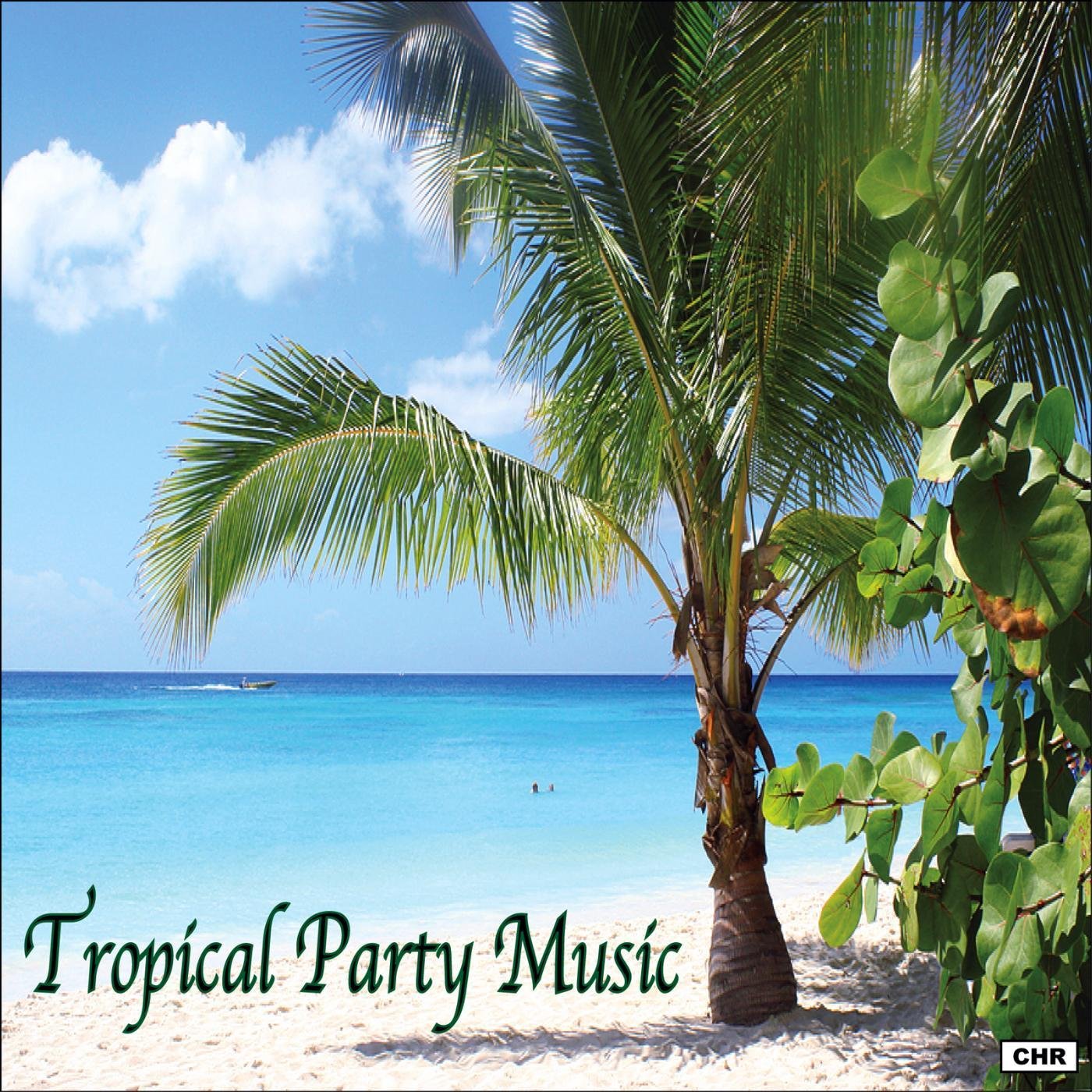 Algopix Similar Product 3 - Tropical Party Music
