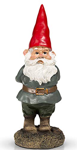 Algopix Similar Product 12 - THE Garden Gnome 10"