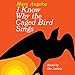 Algopix Similar Product 5 - I Know Why the Caged Bird Sings