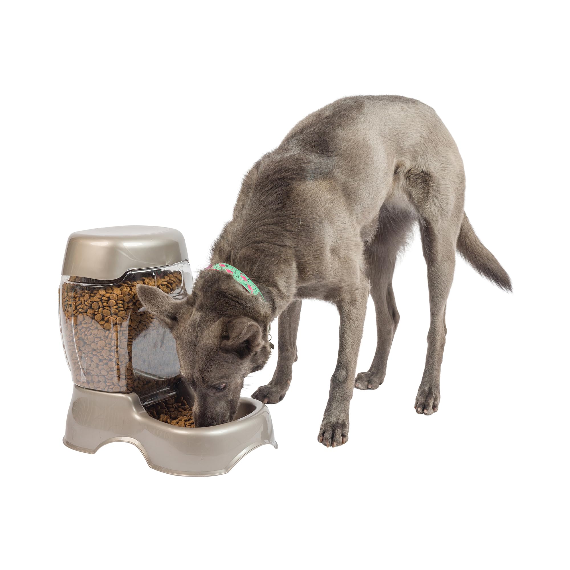 Algopix Similar Product 9 - Petmate Pet Cafe Feeder Dog and Cat