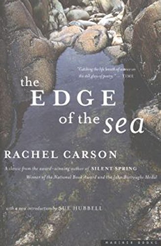 Algopix Similar Product 6 - The Edge of the Sea