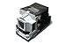 Algopix Similar Product 16 - P PREMIUM POWER PRODUCTS 0100247ER