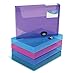 Algopix Similar Product 18 - RAPESCO RIGID WLT/BOX FILE 40MM AST 1048