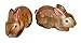 Algopix Similar Product 8 - Cute Pair of Baby Brown Bunny Rabbits