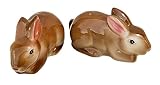 Algopix Similar Product 4 - Cute Pair of Baby Brown Bunny Rabbits