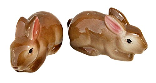 Algopix Similar Product 3 - Cute Pair of Baby Brown Bunny Rabbits