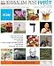 Algopix Similar Product 6 - Jerusalem Post Ivrit