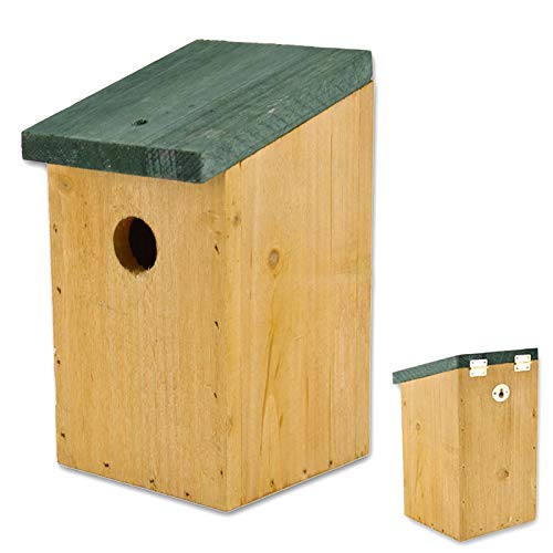 Algopix Similar Product 6 - Lifetime Garden Lifetime Garden 22Cm