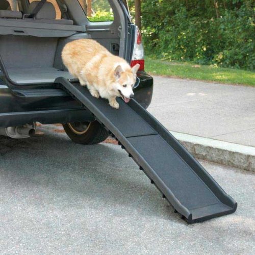 Algopix Similar Product 5 - Guardian Gear Vehicle Ramps for Dogs 