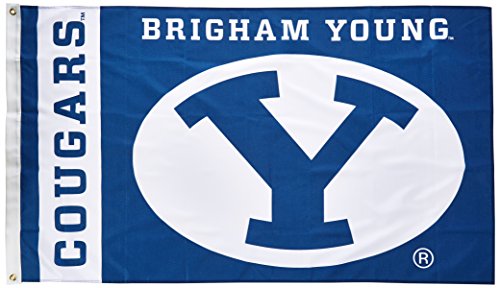 Algopix Similar Product 4 - BSI PRODUCTS INC  Brigham Young