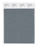 Algopix Similar Product 19 - PANTONE Smart 184510X Color Swatch