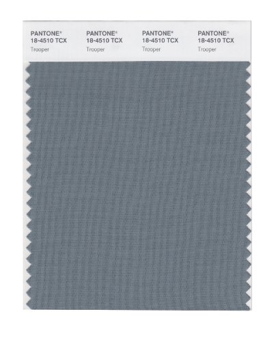 Algopix Similar Product 17 - PANTONE Smart 184510X Color Swatch