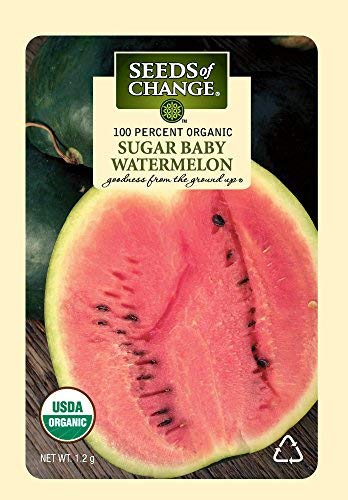 Algopix Similar Product 3 - Seeds of Change 1524 Sugar Baby