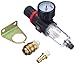 Algopix Similar Product 8 - Einhell Grey Filter Pressure14 inch